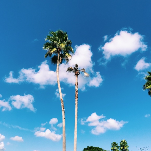 Meet your Posher K - Picture 1 of 1